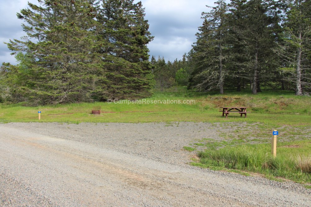 Campsite 44 in Five Islands Provincial Park Campground at Five Islands